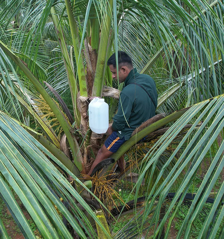 Harvesting