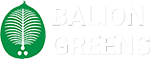 balion logo